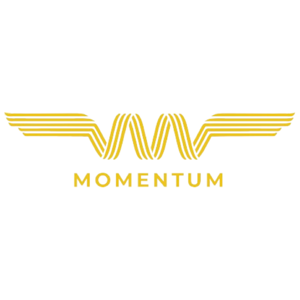 Momentum Logo